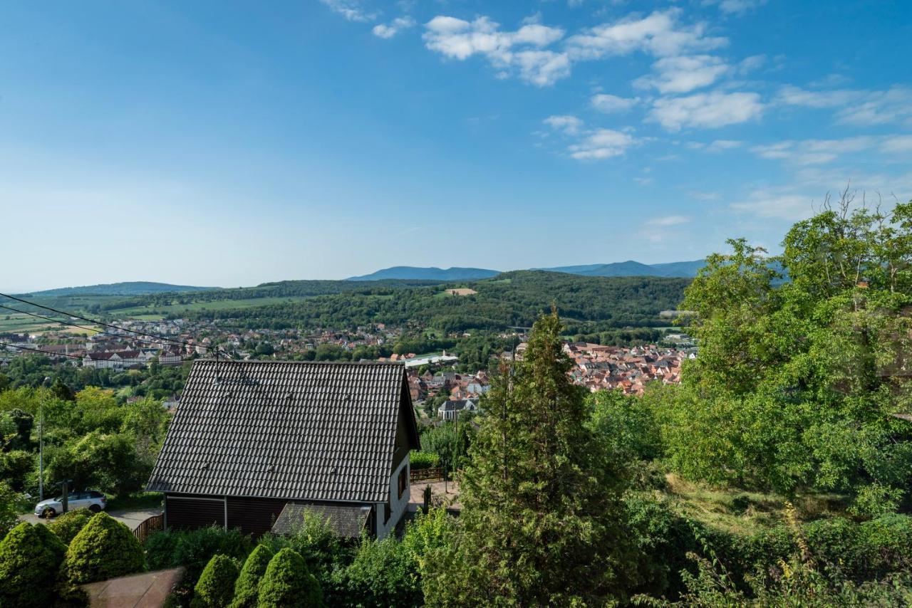 Le Grand Nichoir De La Colline - Parking - Wifi Villa Mutzig Buitenkant foto